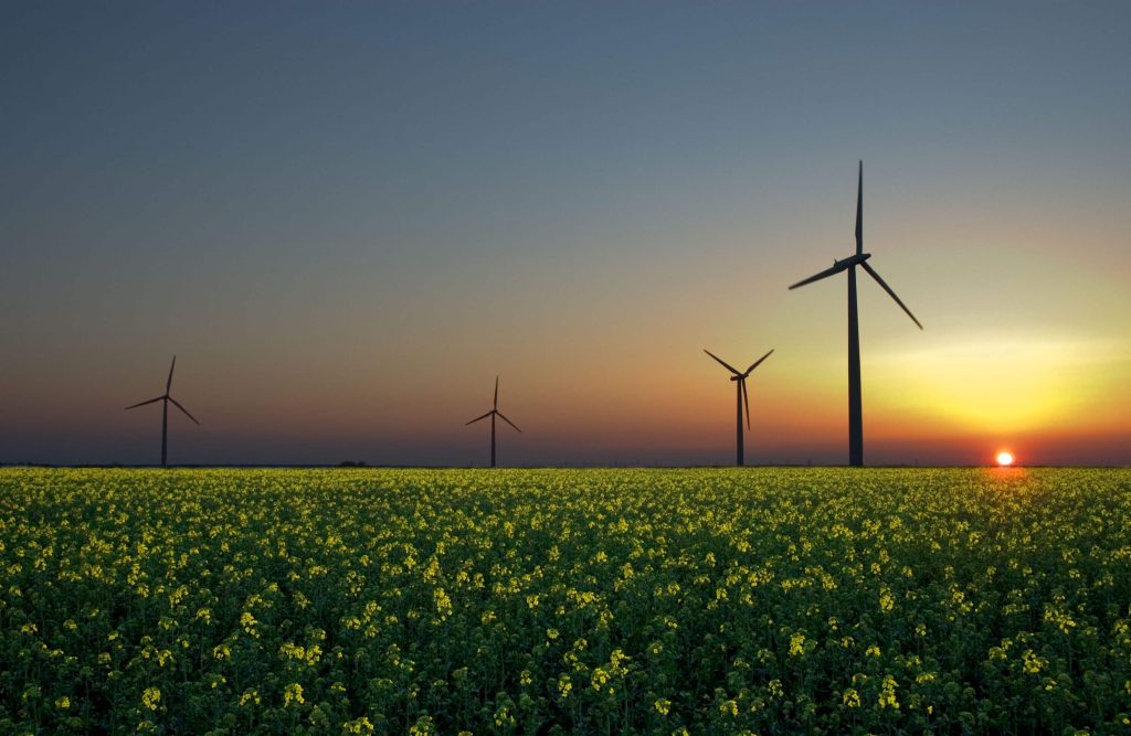 Green Energy Options for Phoenix Homeowners
