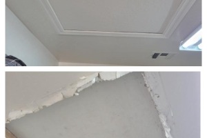 Access-Panel-Repair
