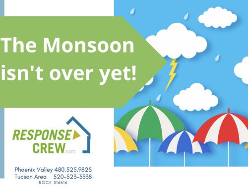 The Monsoon isn’t over yet! (maybe change to Late start..)
