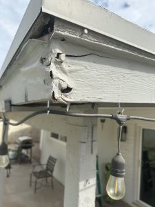Fascia Damage